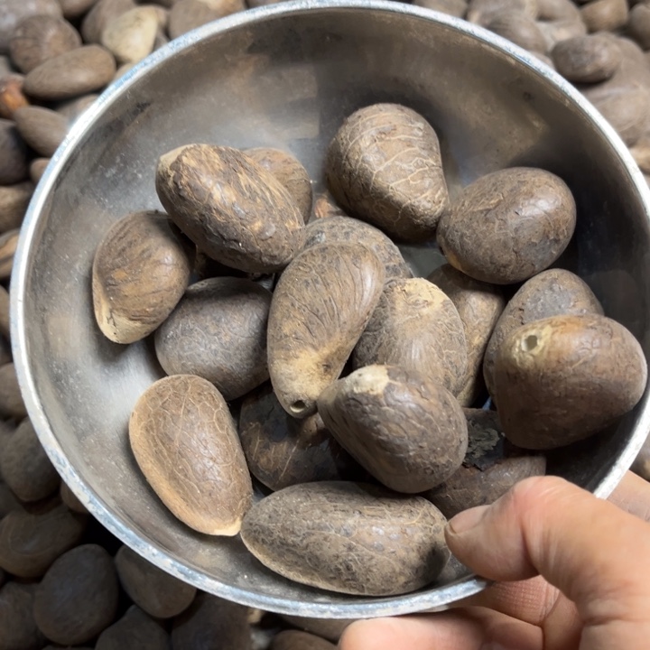 千眼菩提吊坠象牙果