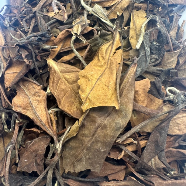 2010年老白茶寿眉福鼎白茶磻溪高山茶云雾茶一级枣香药香散茶盒装