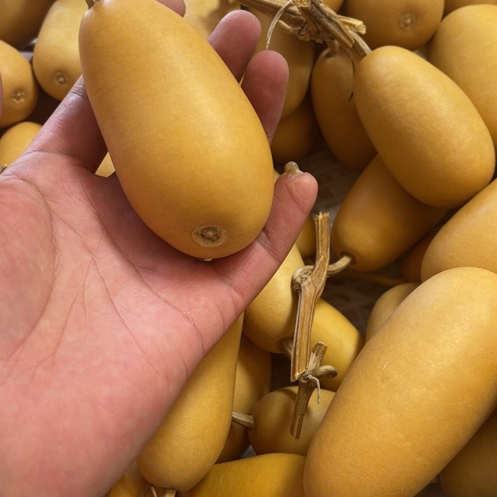 敬***己呼呼呼呼呼睡到晚上八点多