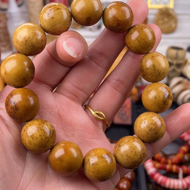 驼骨其他骆驼骨老灵骨16