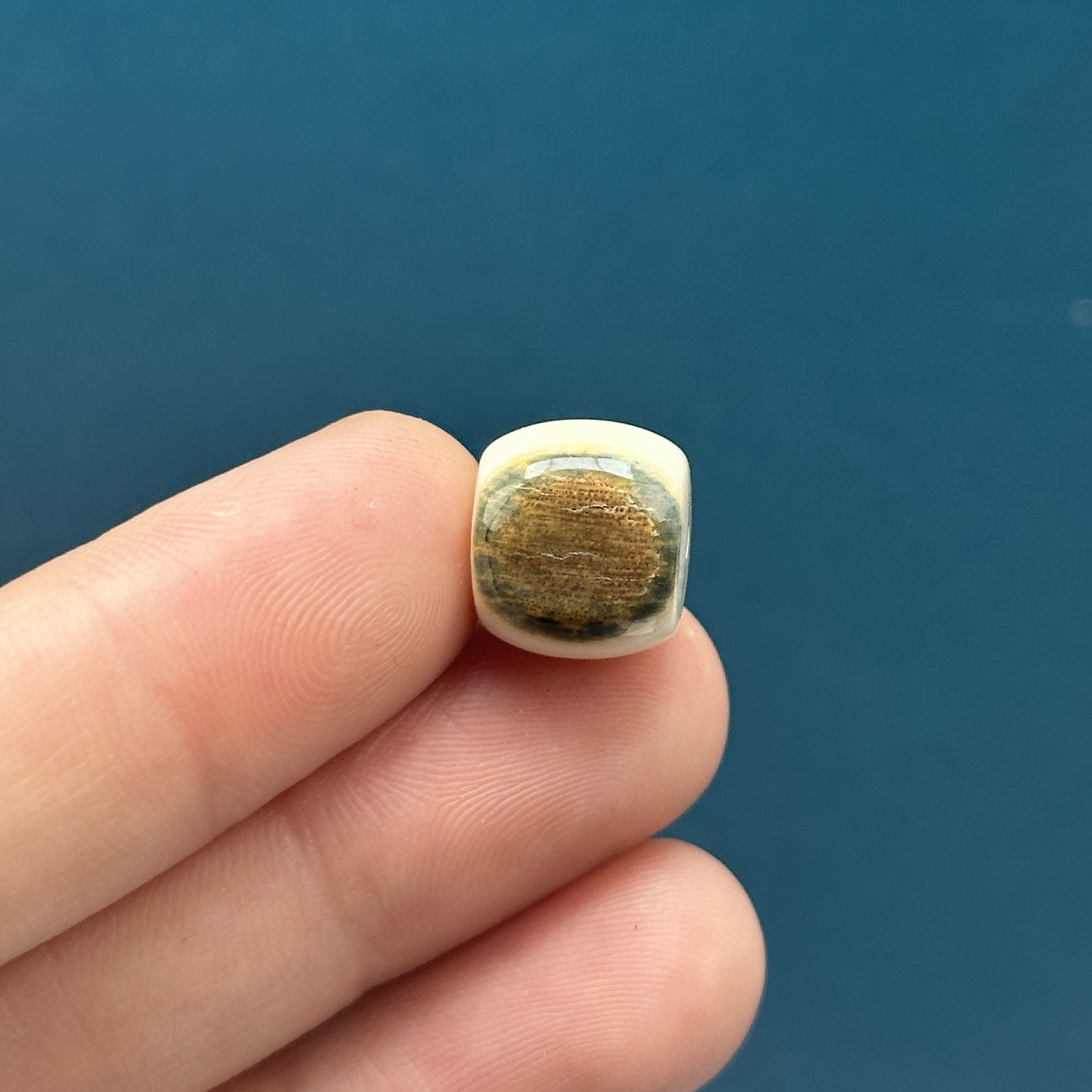 D8860天然猛犸牙 蓝眼睛桶珠12*10.7mm支持鉴定 假一罚四