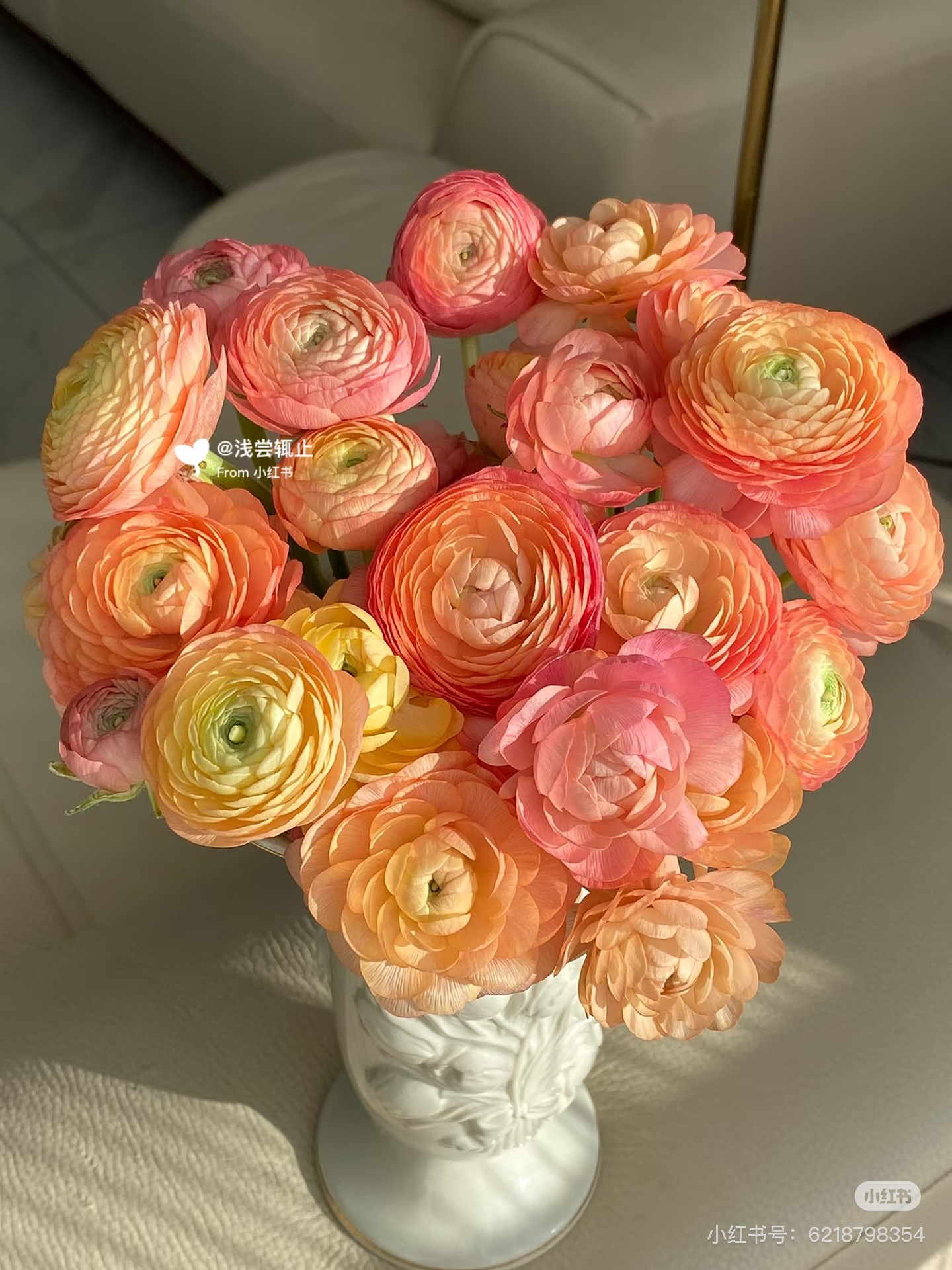 【花甜悦夏优选】三文鱼洋牡丹（一支不售后3个冷链4个空运）