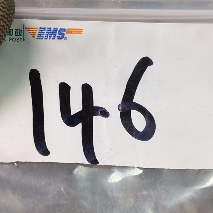 正***子娜娜文玩杂项专属链接