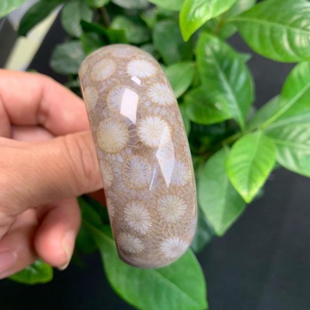 亿年花天然珊瑚玉稀有冰透蓝白皮花54+手镯：可扩圈到58+