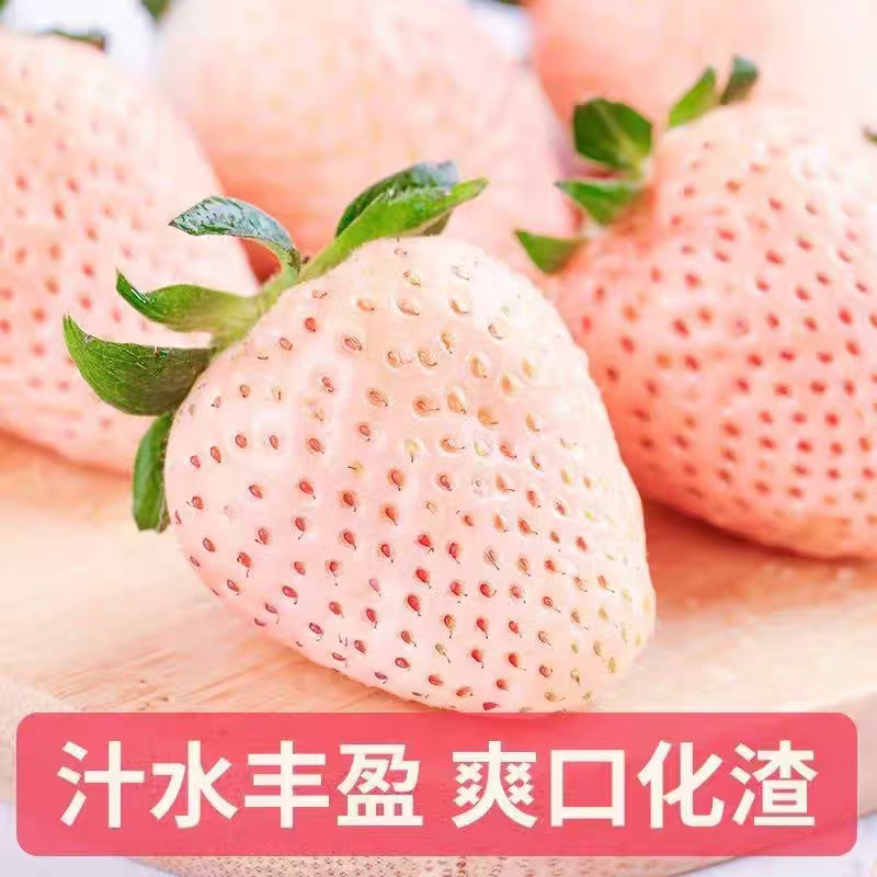 【送礼佳品】丹东淡雪草莓255g/盒