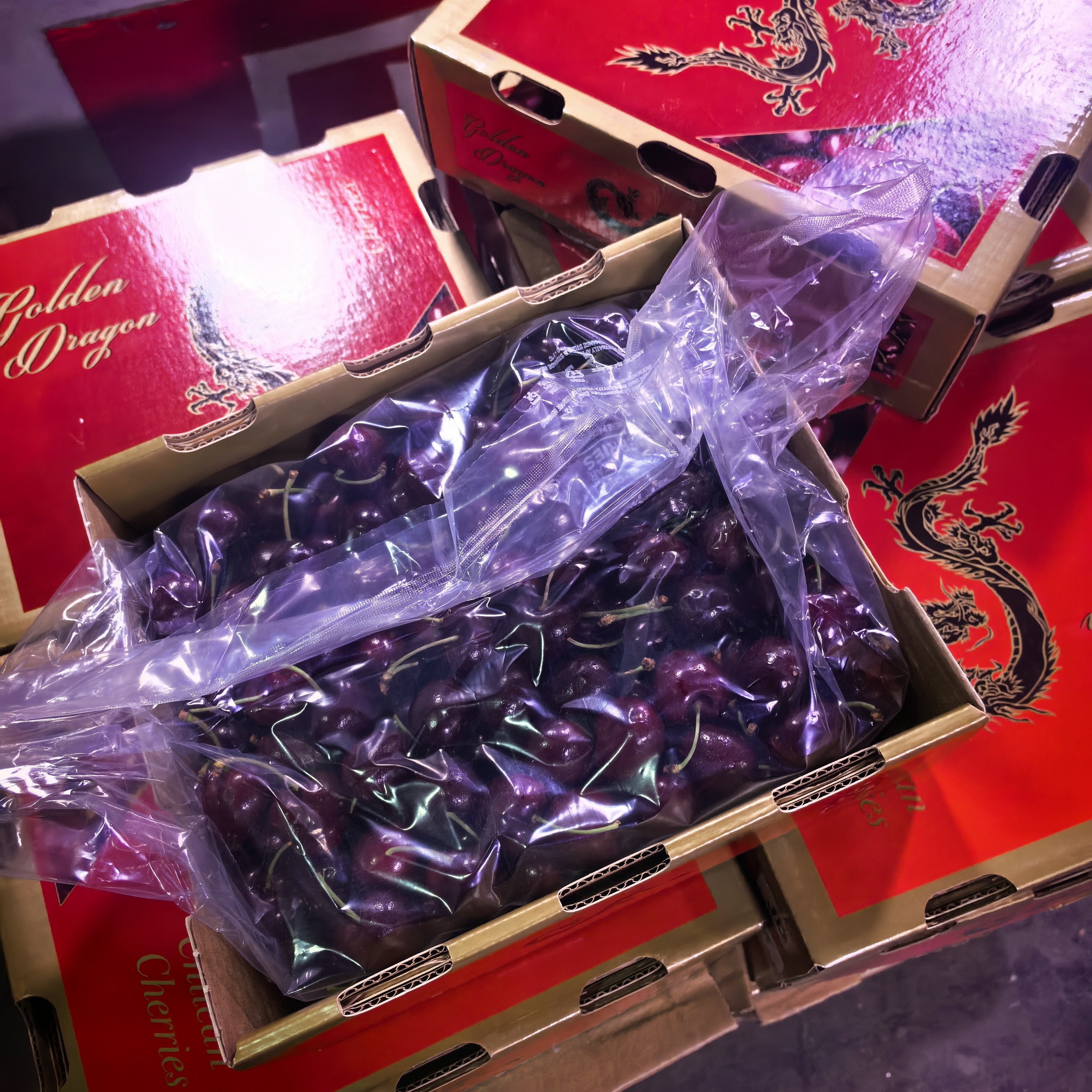 【胖子水果精选】龙牌智利海运桑提娜车厘子JD/5斤内附果径卡智利