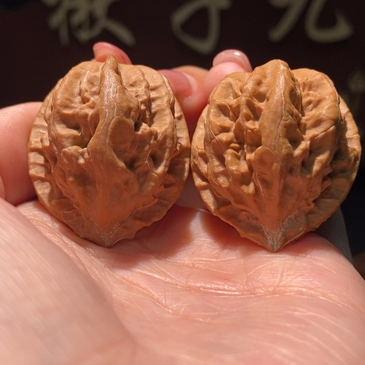 木质类聚核财婉楸35