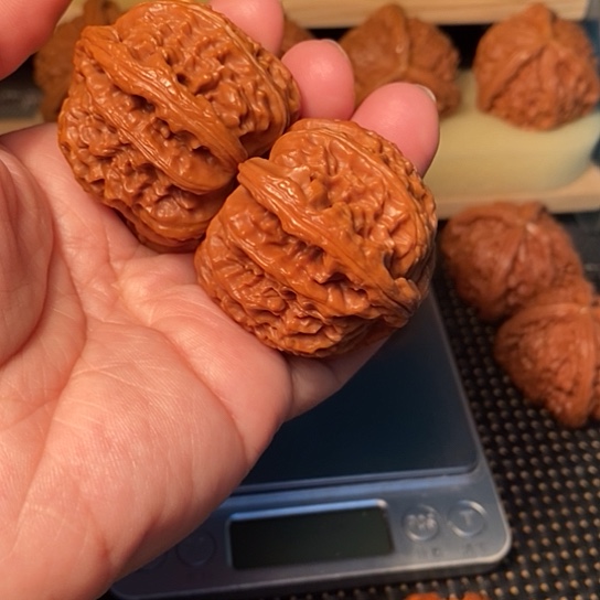 日***道核桃核桃核桃核桃