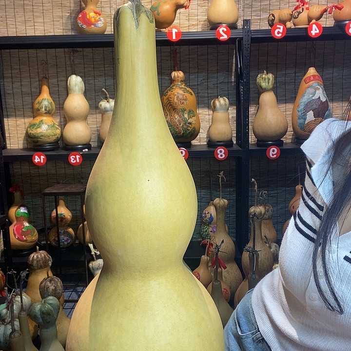 ****临葫芦888888888888