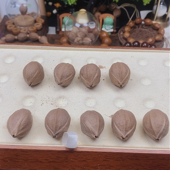 橄榄核手串梅林铁核19×28三花福利款素串9颗