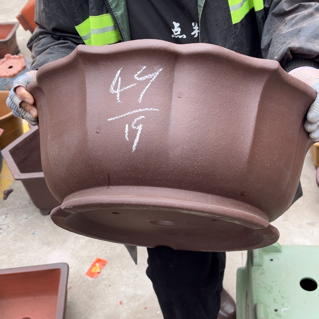 紫砂花盆盆景艺术