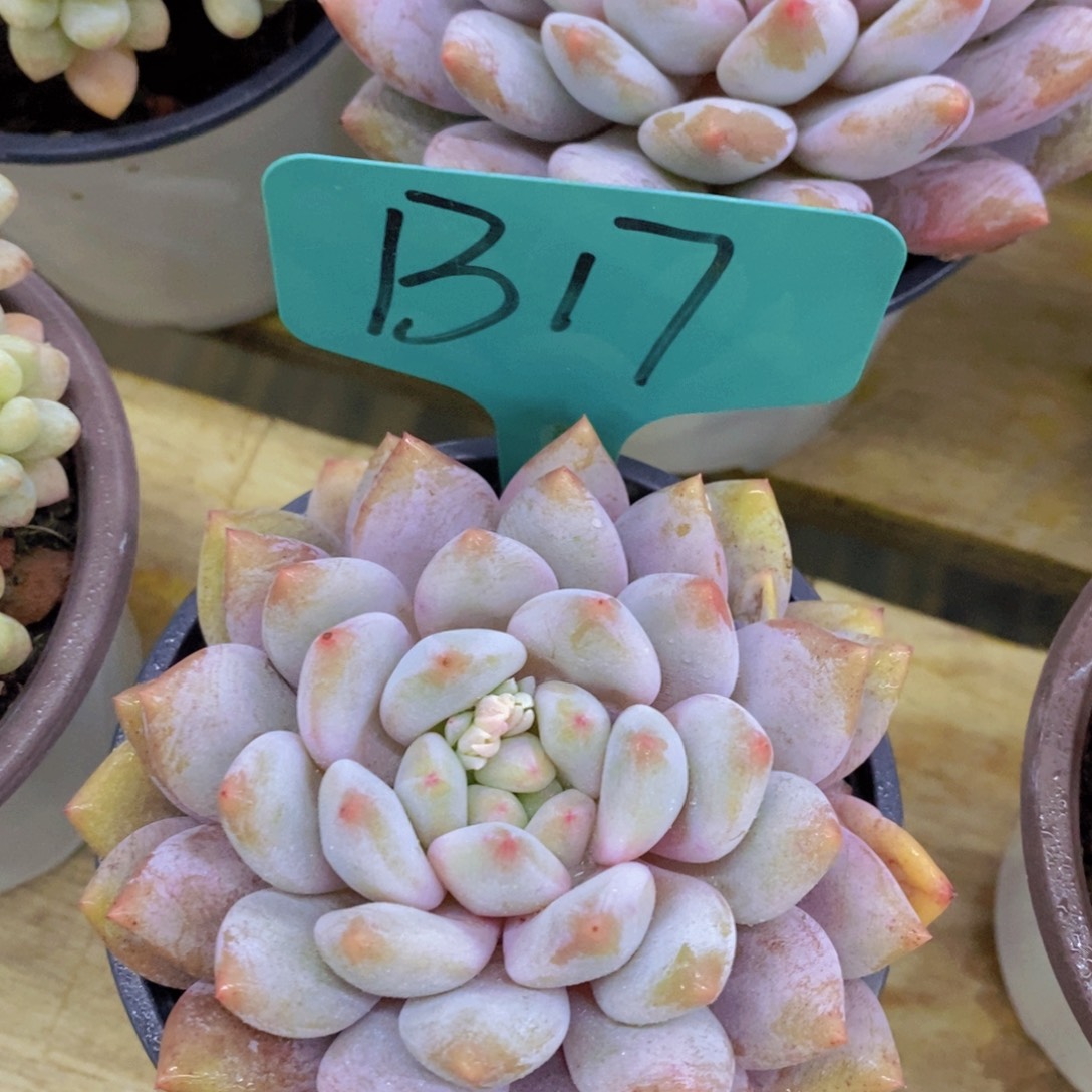 清货专场，满5宋1了