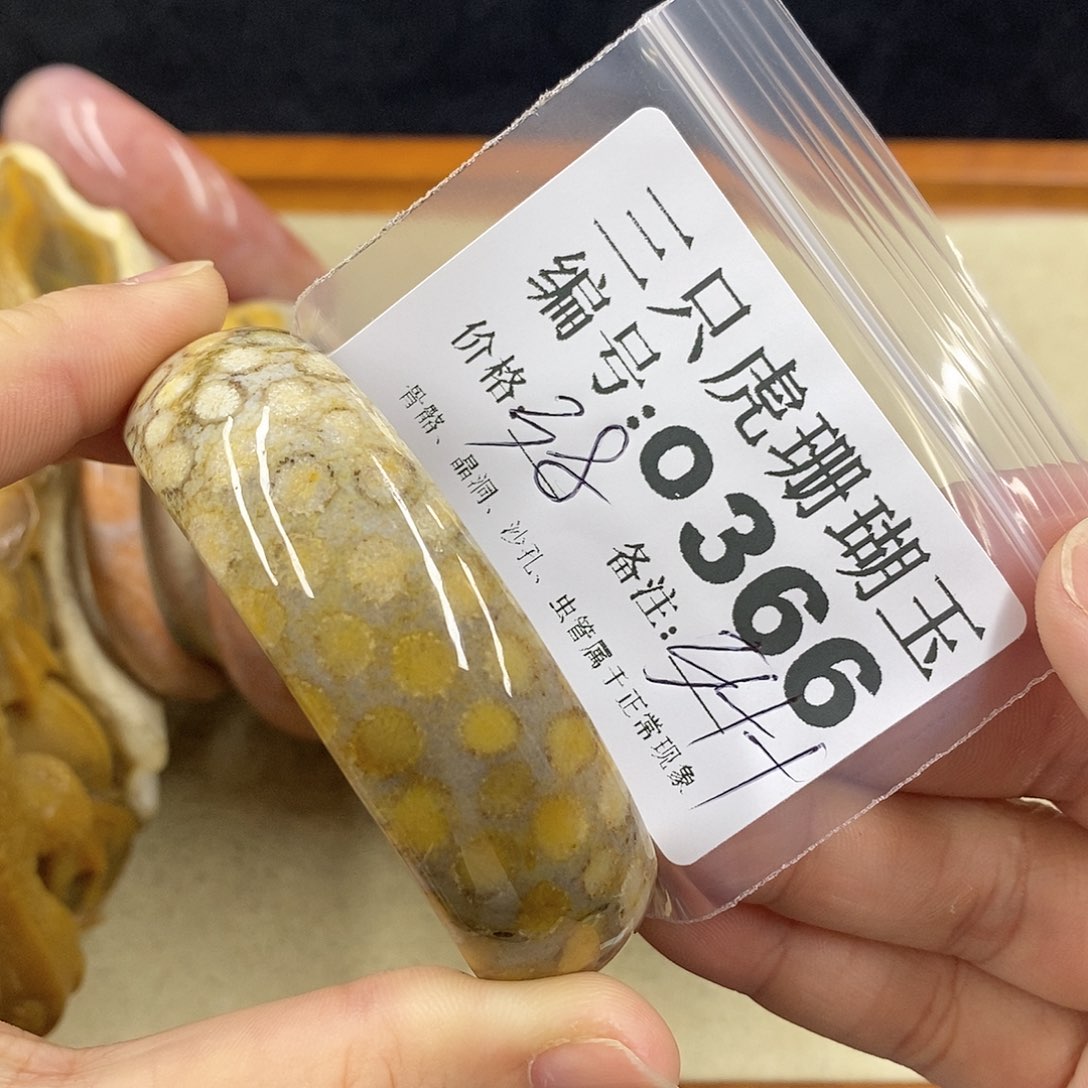 硅化珊瑚（珊瑚玉）1未镶嵌坐**起