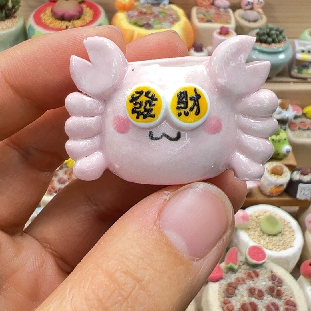 多肉植物76号单独盆