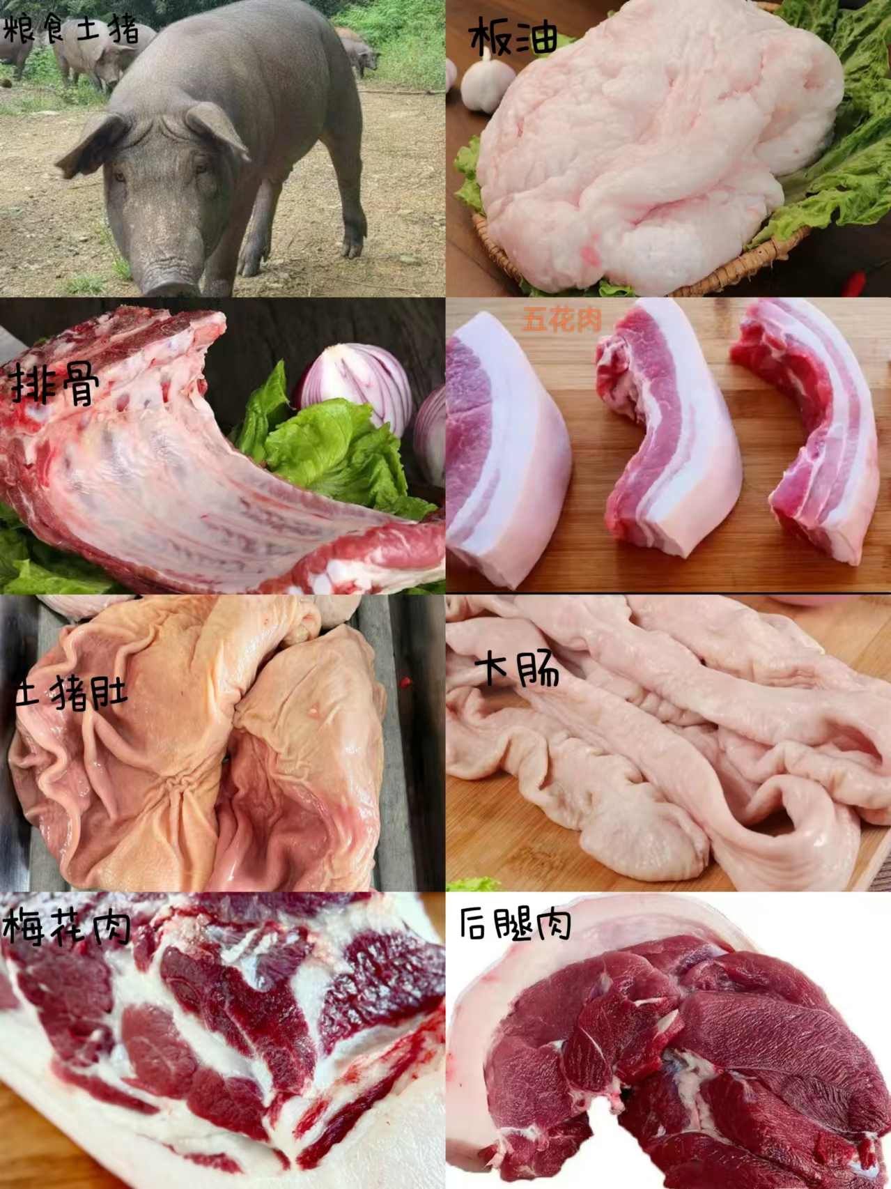 【1号链接】一称一拍  湖北恩施高山熟食现杀土猪【顺丰包邮】