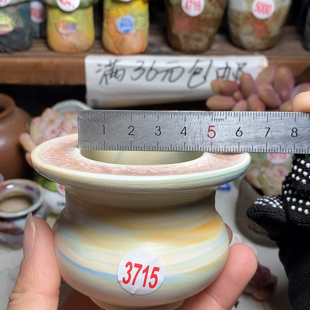 红陶拍5送一个小