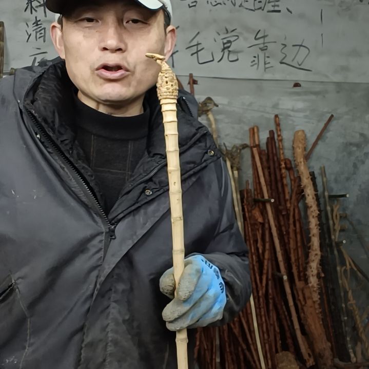 稳定木多****金贵州檬子木   铁马鞭   根艺  半成品