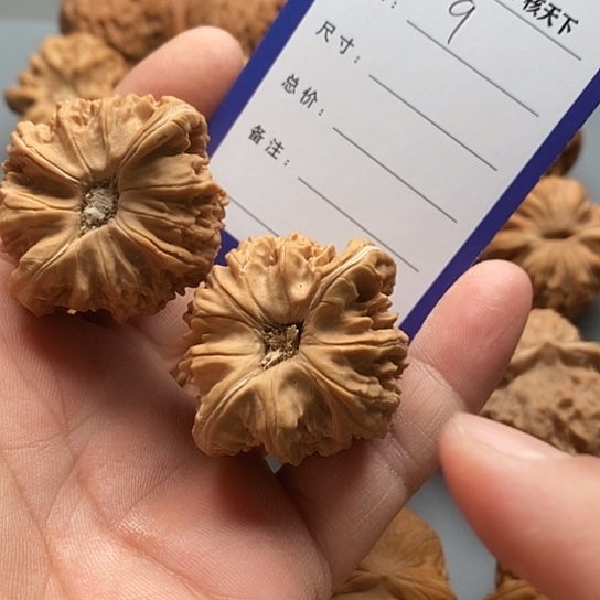 文玩核桃把件左*龙凹