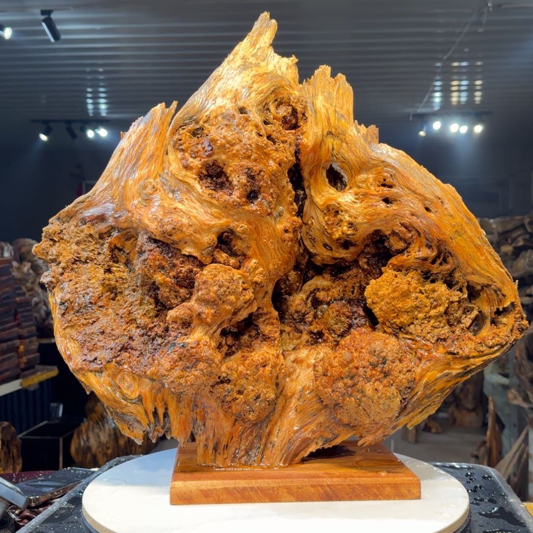 学***者木王一刀琥珀木摆件62