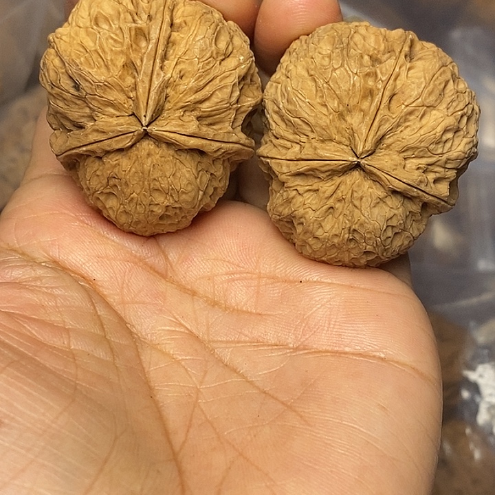 文玩核桃把件云南铁核桃44