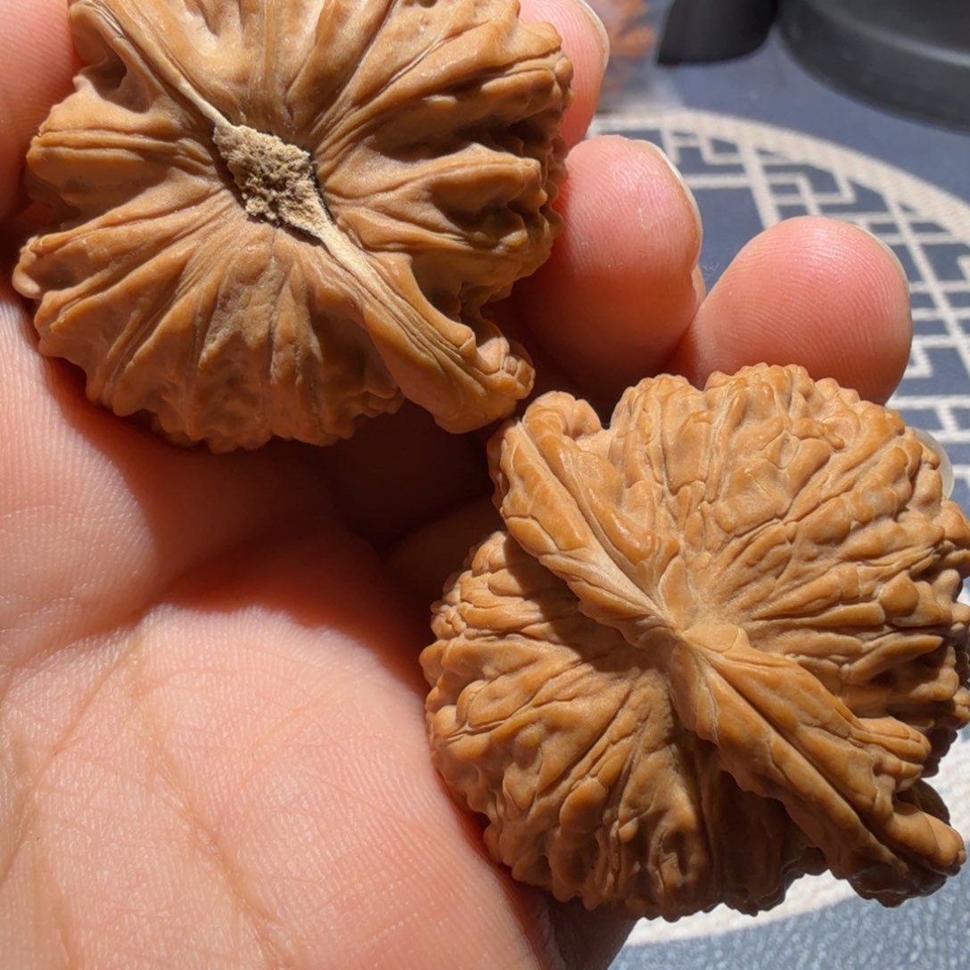 小***哥把件猴头核桃白狮子