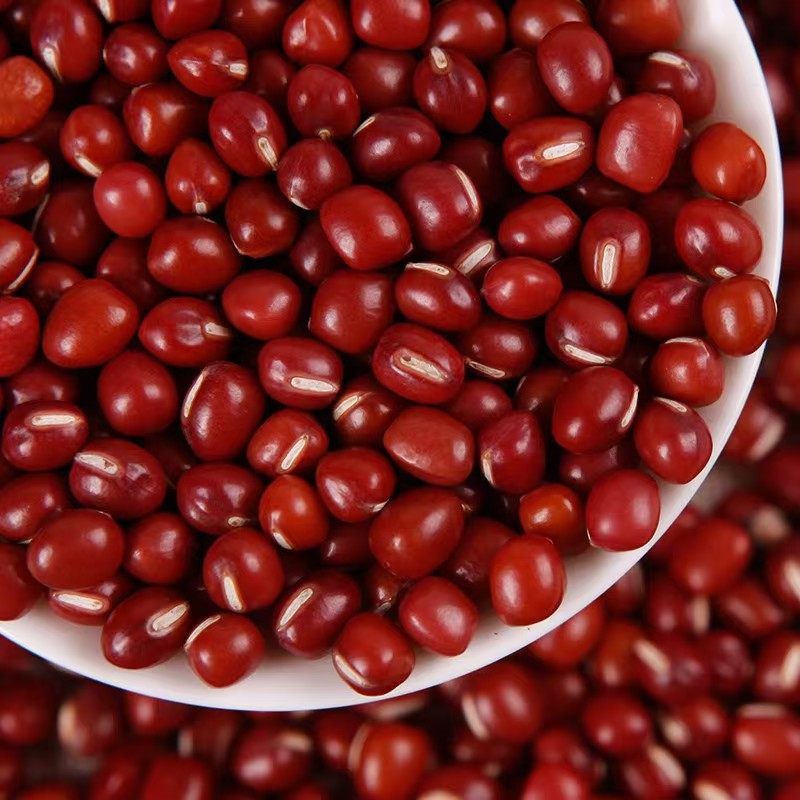 红豆农家自产红豆煮粥煲汤 2斤 3斤 5斤装食用农产品