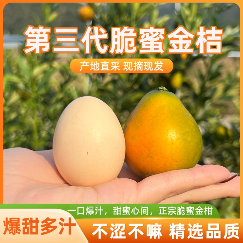 【第三代】脆蜜金桔纯甜无酸新鲜水果产地直发爆甜多汁孕妇适用甜