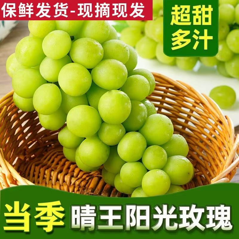 山东莱西阳光玫瑰晴王葡萄新鲜采摘果园直发脆甜多汁京东包邮