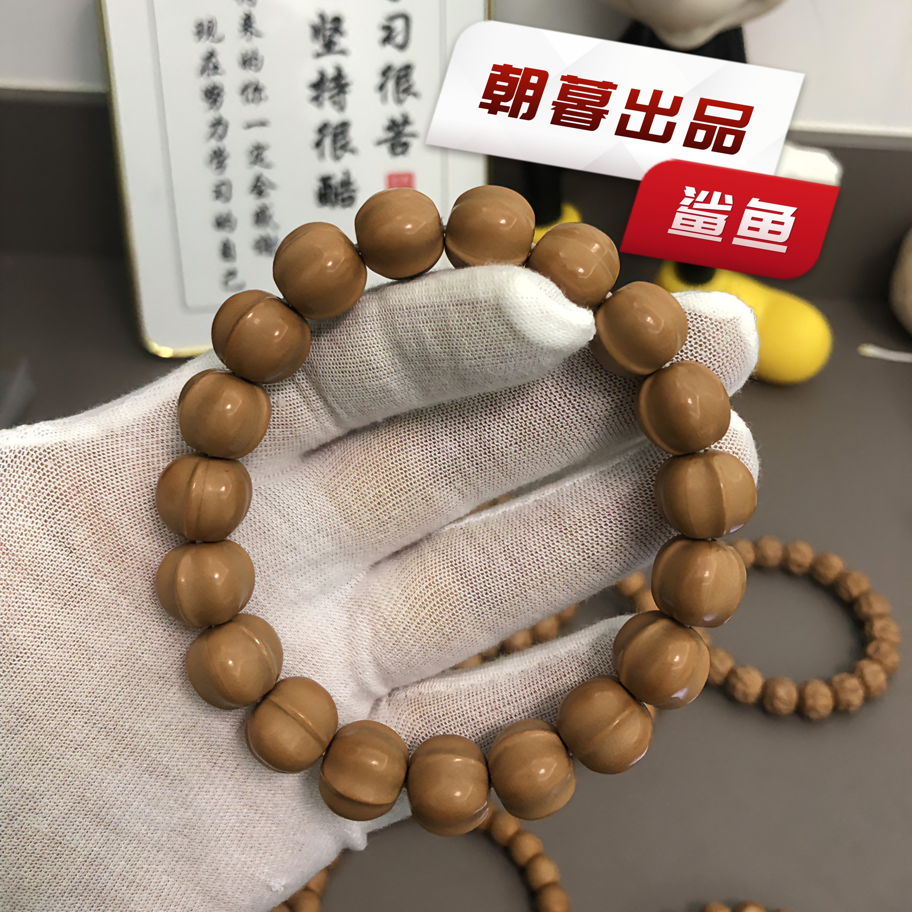 【朝暮出品】全品鲨鱼背尺寸12+MM