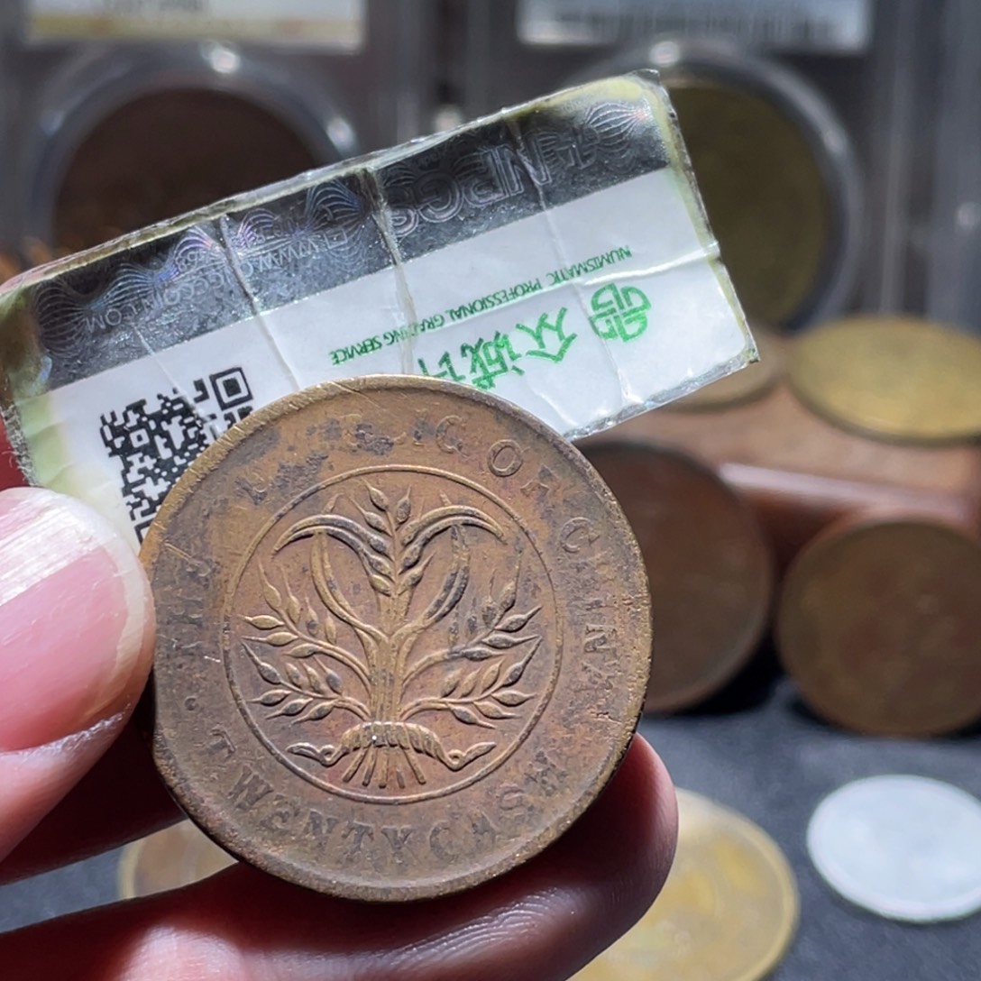 用***7铜通古博今260103范范21