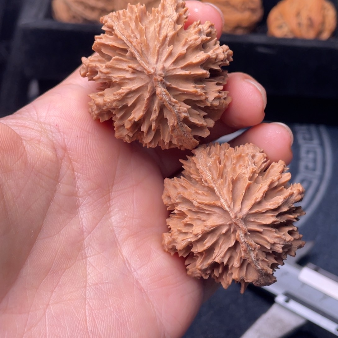 文玩核桃吊坠秦岭核桃50