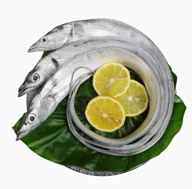带鱼 海鲜/海鱼以直播为准顺丰包鲜到家