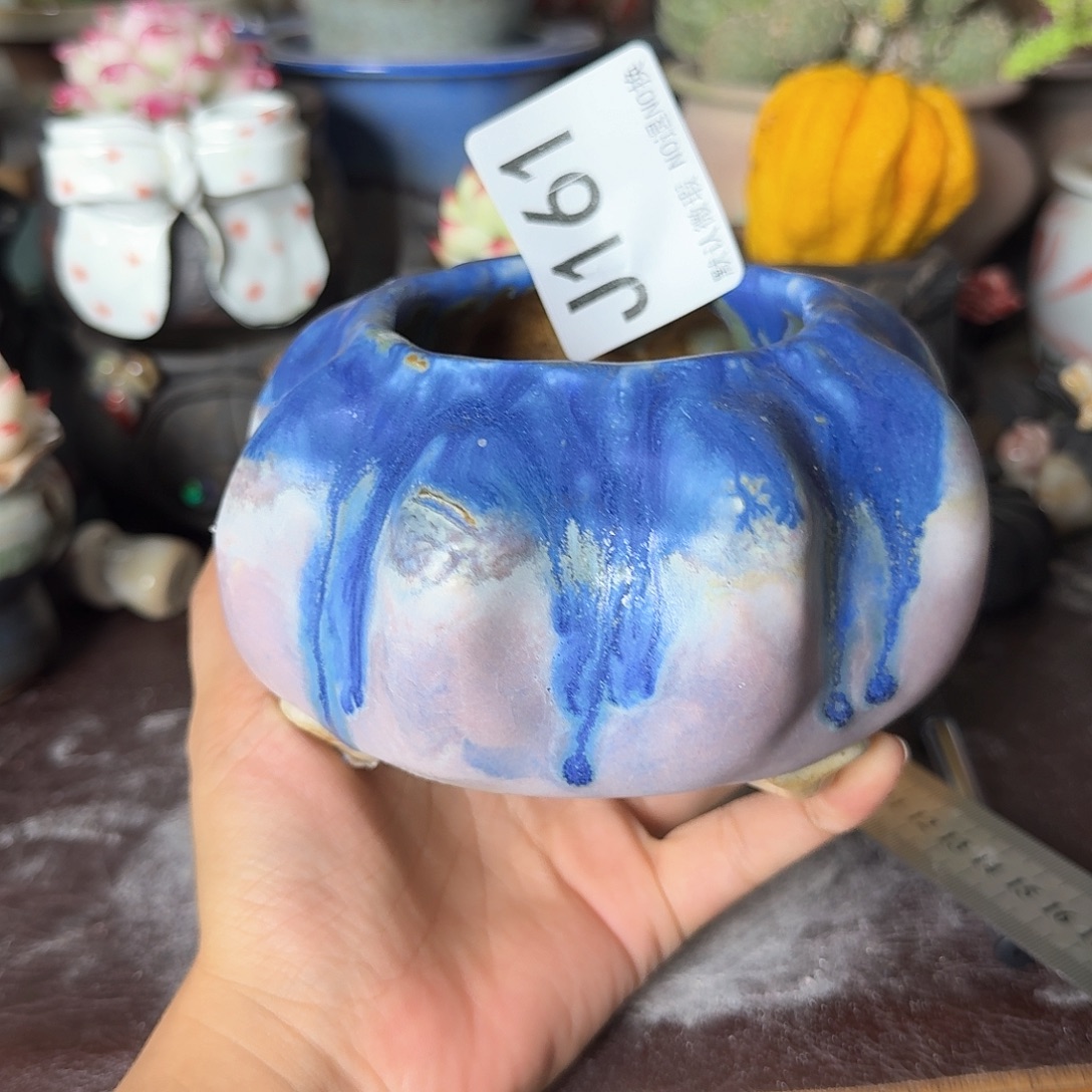 重庆小燕子欢迎大家161