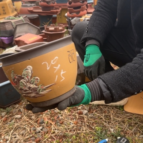 红陶紫砂花盆盆景盆栽