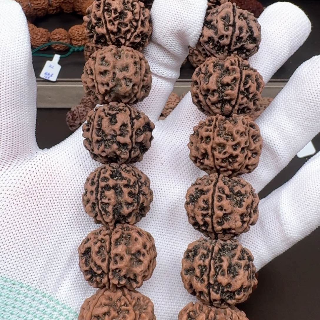 金刚菩提手串24粗筋蜂窝双（有色差介意慎拍）