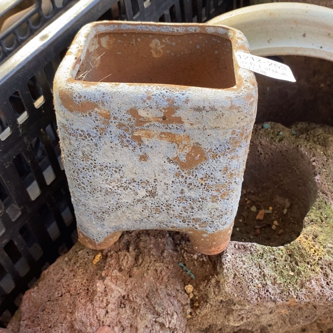 253号多肉盆口径8