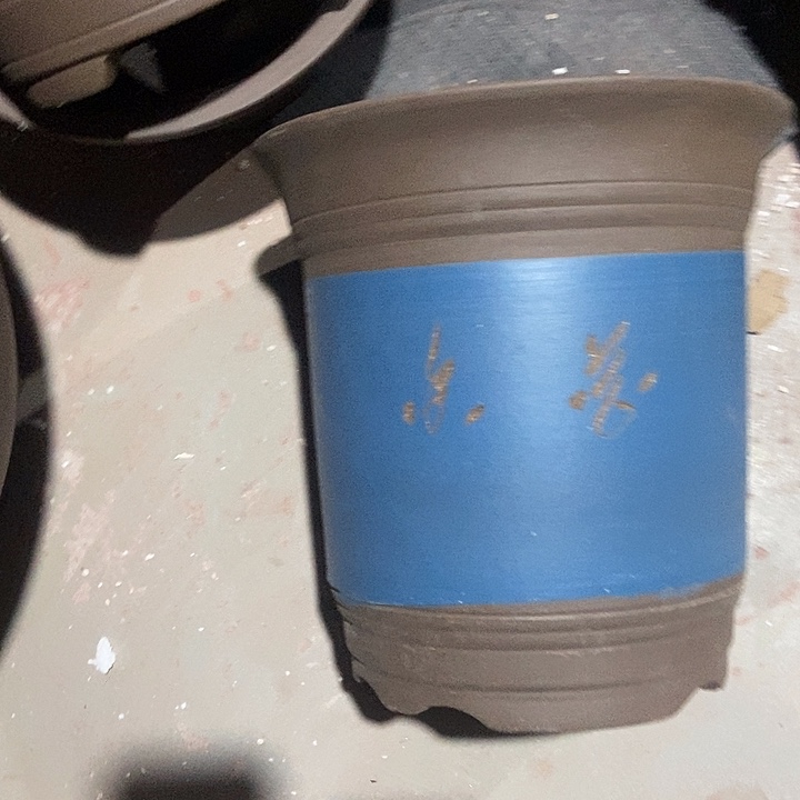 紫砂花盆后24花盆花盆花盆花盆花盆