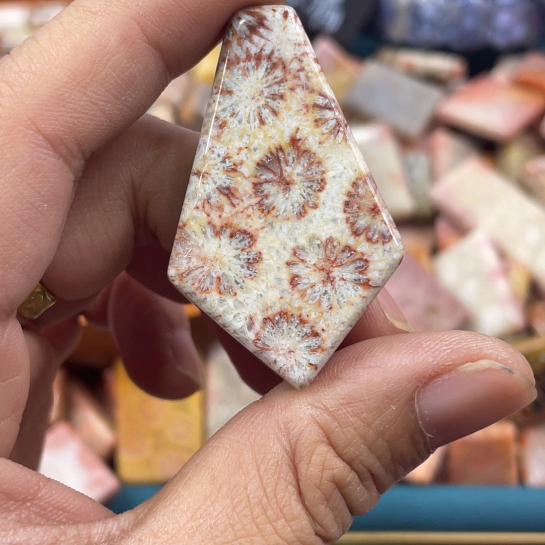 未镶嵌手镯硅化玉