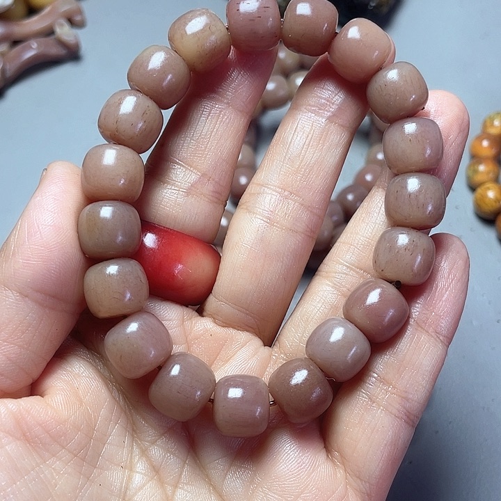 大果紫檀（缅甸花梨）