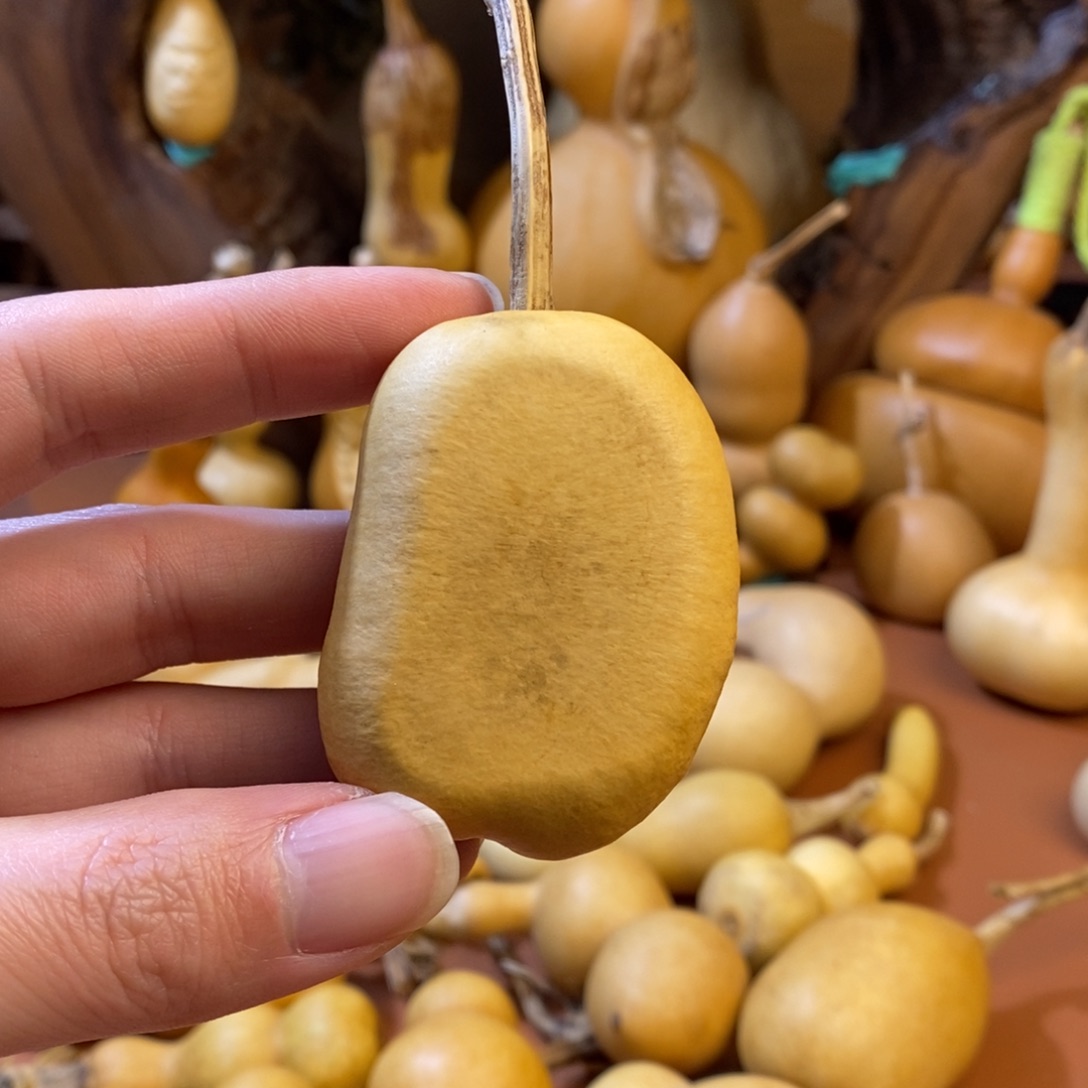 可***潼教练教练咯教练经理