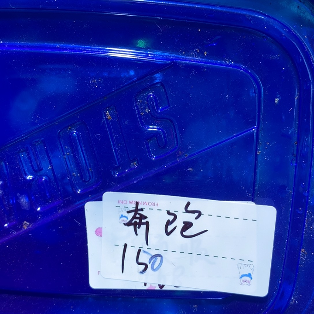 奔奔跑跑专拍奔跑