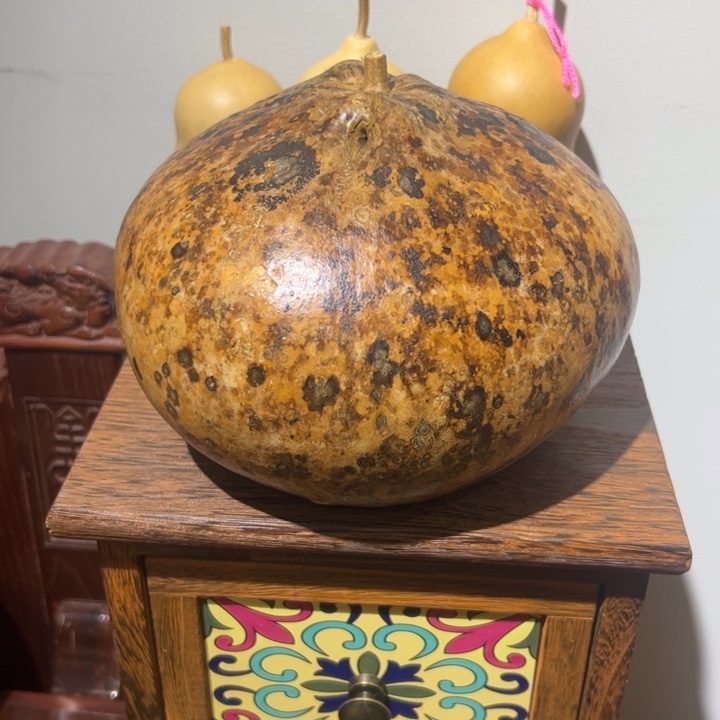 ***天然花皮包子葫芦