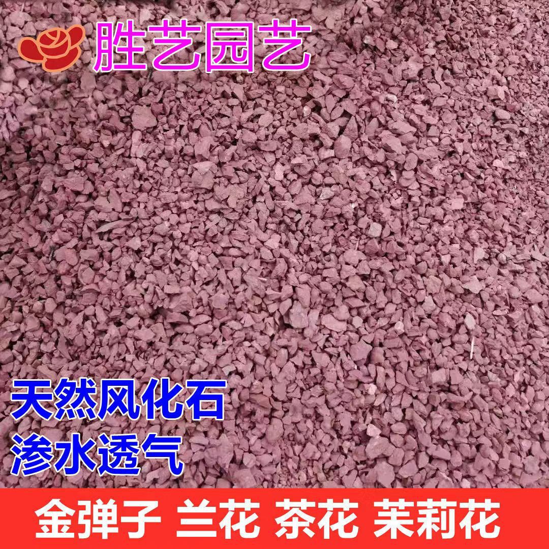 风化土颗粒适合金弹子扦插促进生根发芽渗水透气营养土