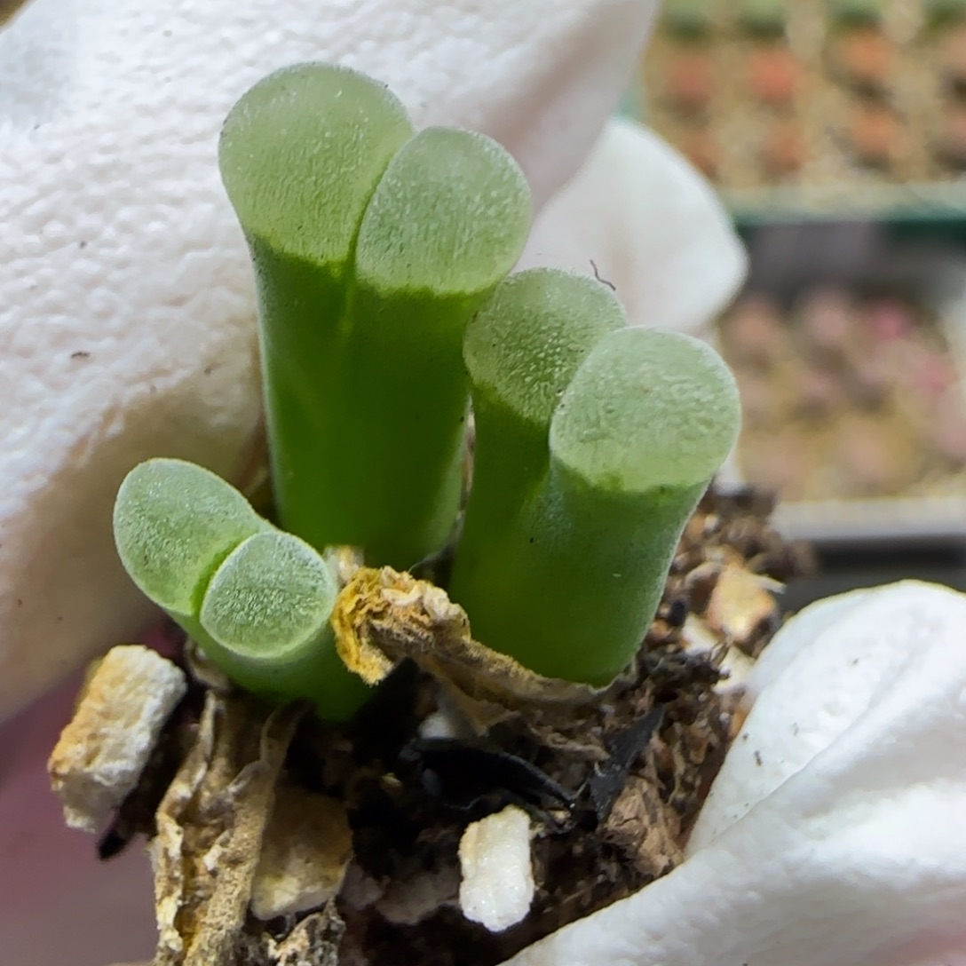 9.22。   1802.8极窗佛度。  9010