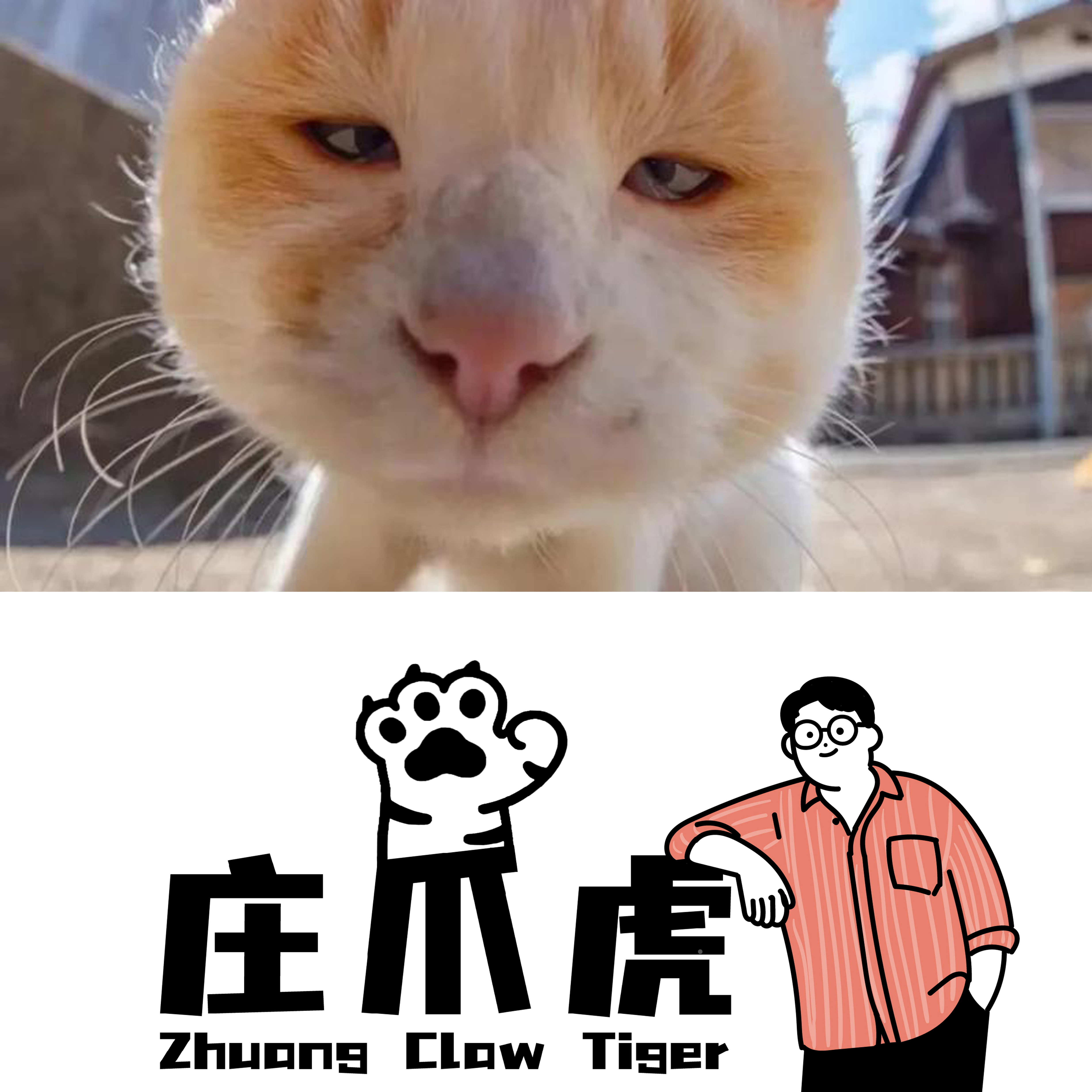 庄爪虎宠物食品199盒子活动链接