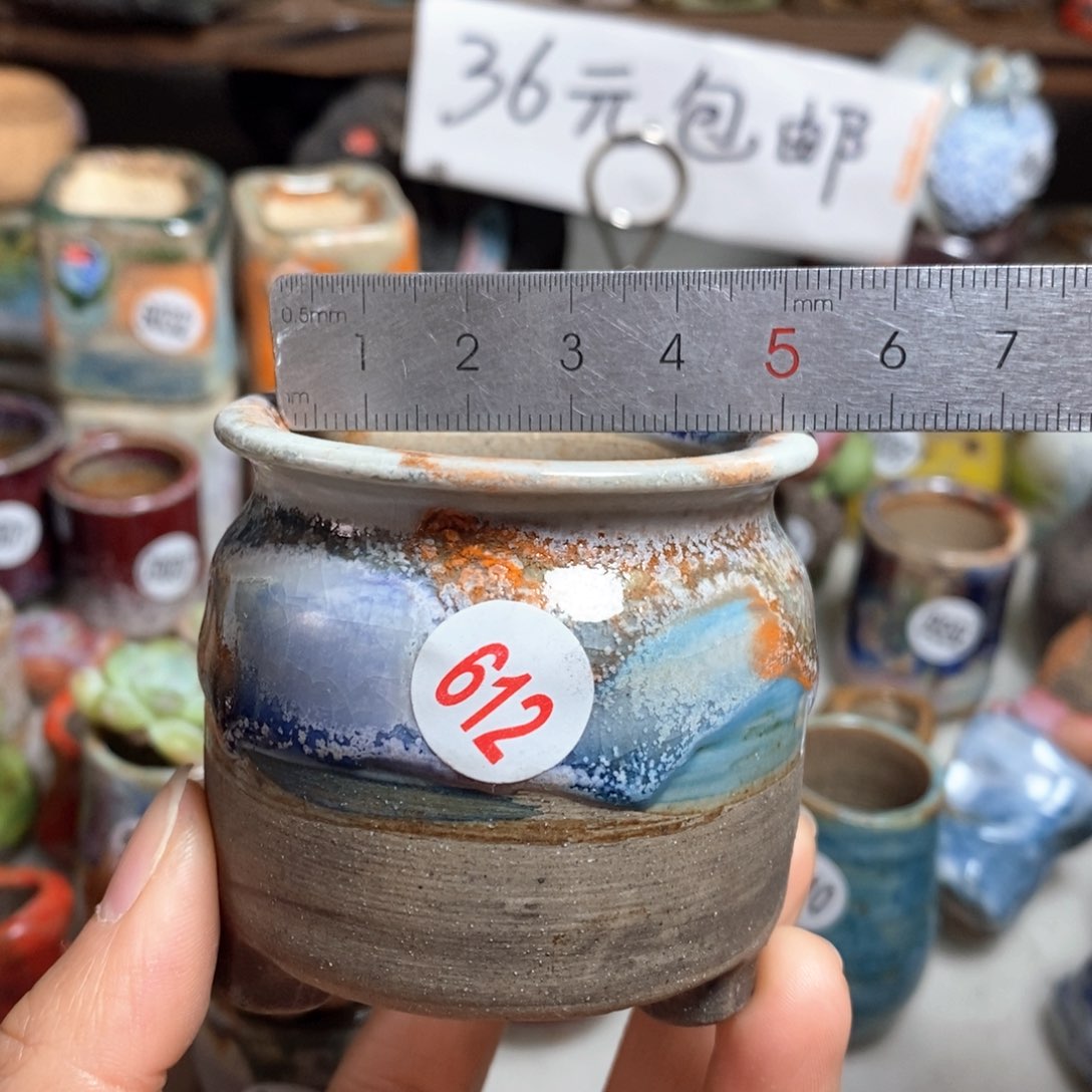 花盆拍5送一个小礼物