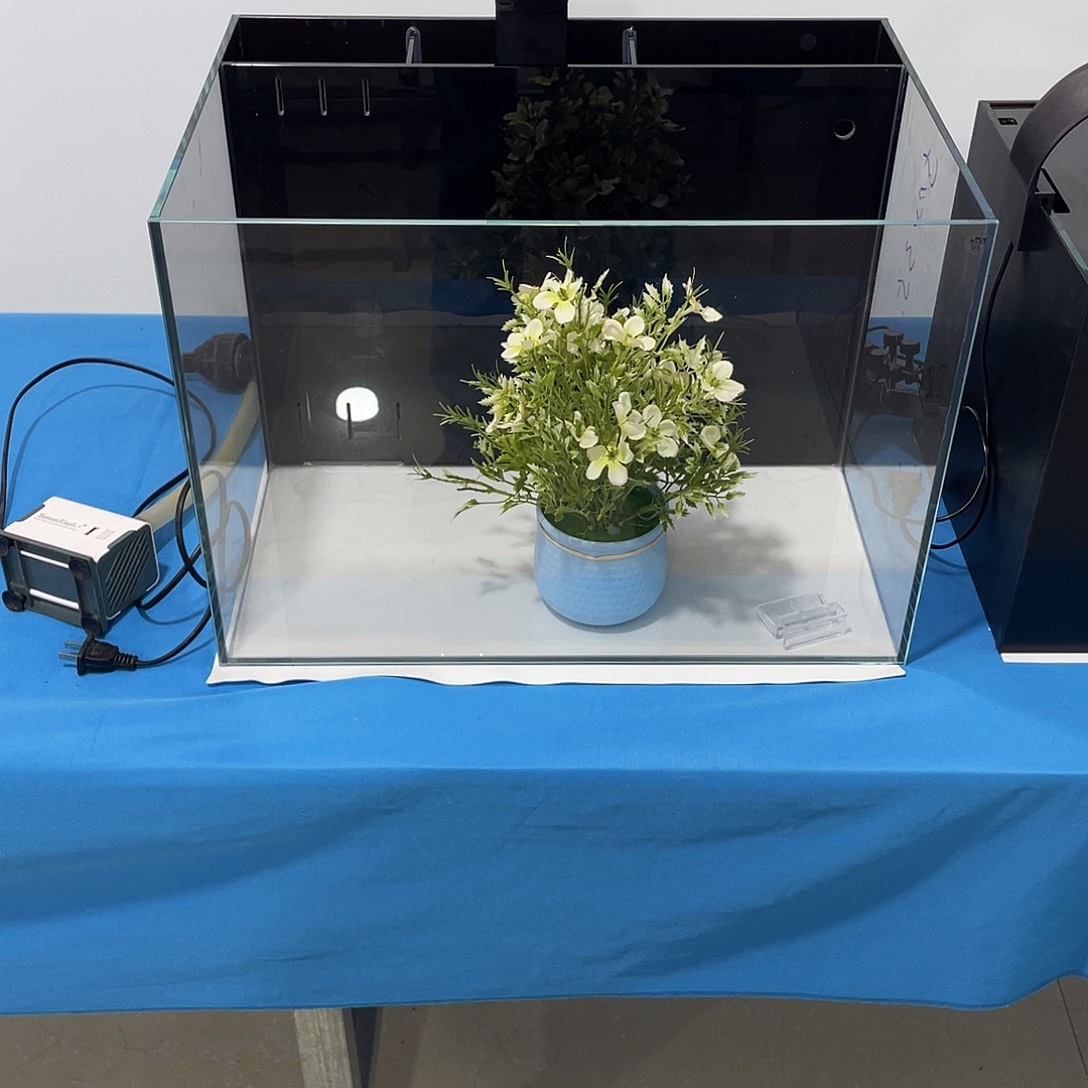 玻璃叁*玖503535背经典款带全套