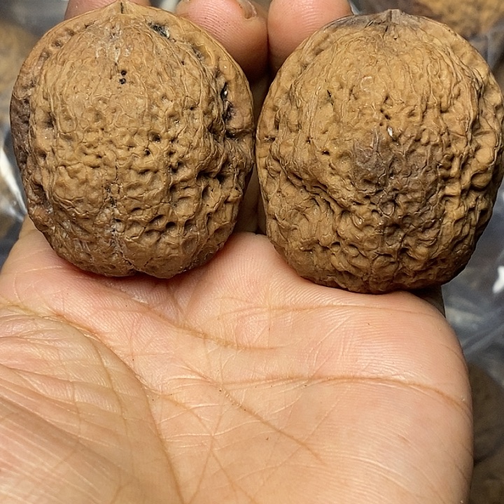 把件文玩核桃云南铁核桃42