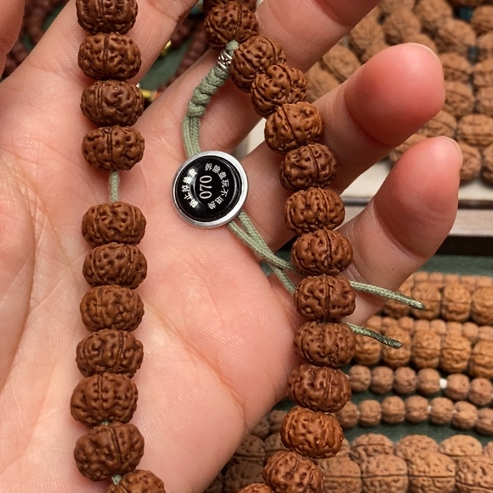 菩提竹****纯血老树王