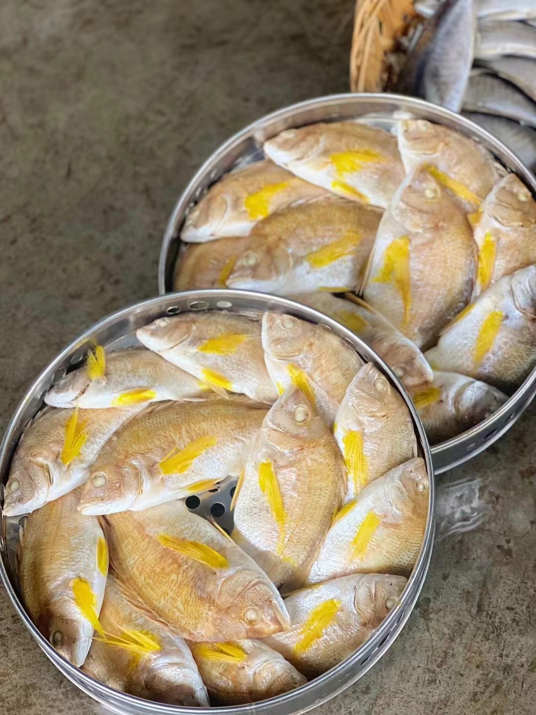 潮汕打冷黄赤鱼饭每日新鲜（顺丰发货）